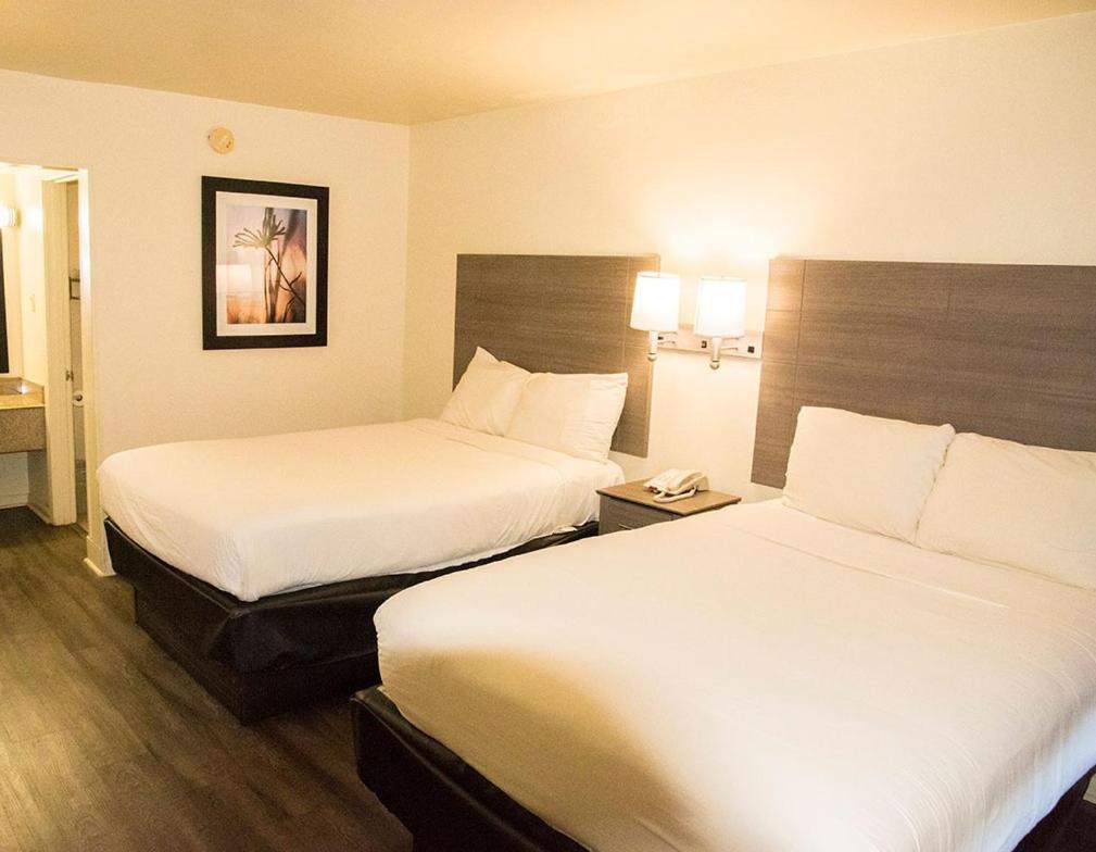 Exacta Inn Minden Εξωτερικό φωτογραφία